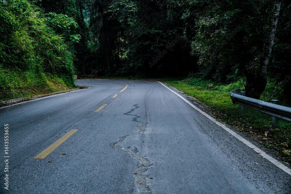 Obraz premium Curved forest road surrounded by dense green trees in a tranquil natural landscape