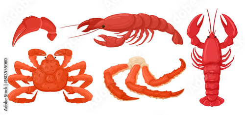 Cartoon marine animals with claws. Ocean seafood, mediterranean diet, tasty red lobster, crab and crayfish flat vector illustration. Fresh sea food