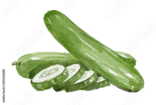 Watercolor cucumber isolated on white background