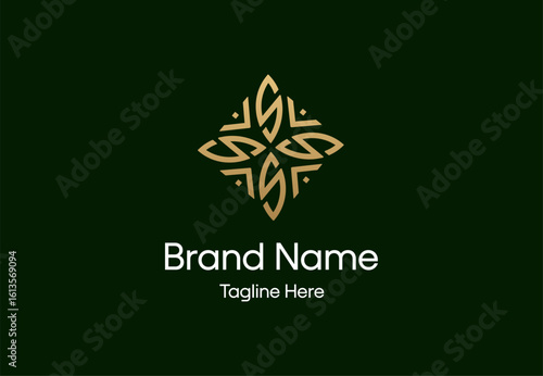Luxury Gold Abstract Letter S Star Geometric Logo