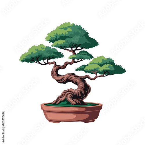 Bonsai.vector illustration on white background