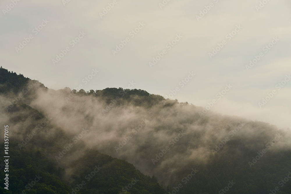 Fototapeta premium 山の息吹、白き霧の川