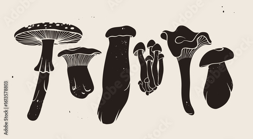 Various types of Mushrooms. Forest wild edible mushrooms. Monochrome style. Hand drawn modern Vector illustration. Isolated design elements. Autumn mood, vegetarian, organic food concept