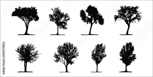 Tree Silhouettes: A collection of various tree silhouettes. Perfectly suited for adding a touch of natural elegance to your designs.