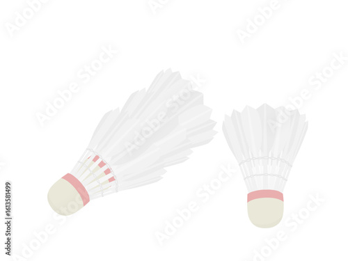 Badminton on a white background.