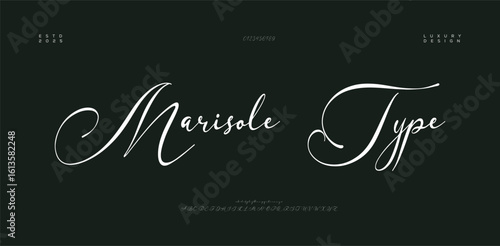 Signature Elegant Branding Typeface. Handwritten Script Editable Text Effect Template . vector illustration 
