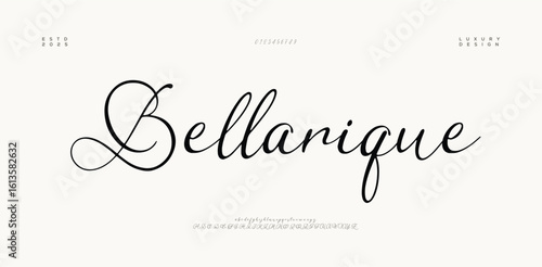 Signature Font Uppercase Lowercase And Number. Script Font Calligraphy Logotype  elegant Font Type Font lettering handwritten. vector illustration  
