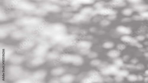 Abstract shadow tree on wind background, boho effect, looped animation