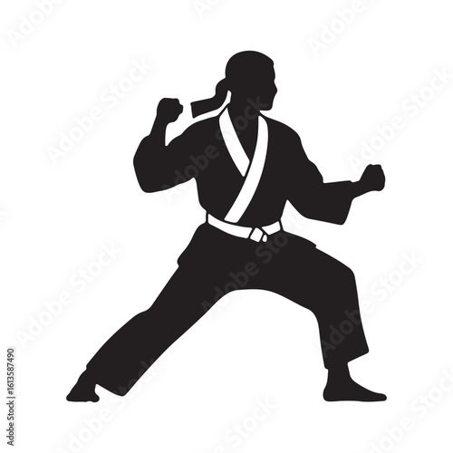 Silhouette of a Martial Artist in Fighting Stance Demonstrating Self-Defense Techniques on Transparent