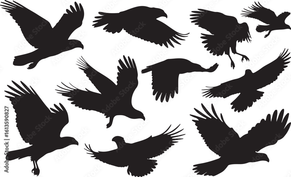 Obraz premium Caracara Solid Vector Silhouette