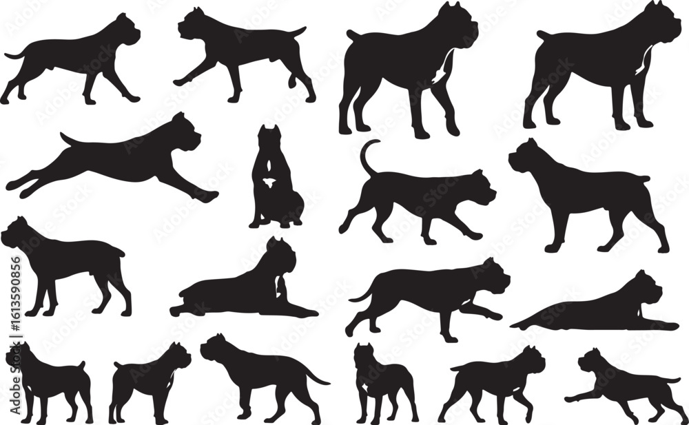 Fototapeta premium Cane Corso Solid Vector Silhouette