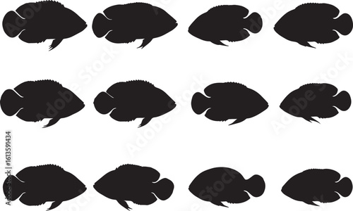 Oscar Fish Solid Vector Silhouette
