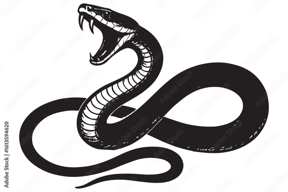 Obraz premium black and white snake drawing, realistic coiled serpent, art, graphic design, nature illustration