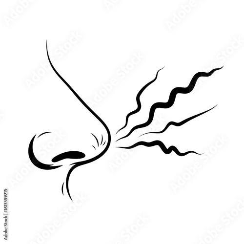 A human nose isolated on white background sensing an aroma
