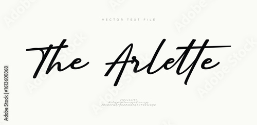 Script Elegant Signature Typeface. Lettering signature font isolated on grey background. brus style alphabet. Vector logo letters.

