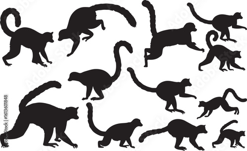 Sportive Lemur Solid Vector Silhouette