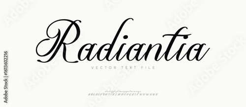 The Beautiful Luxury Signature Script Font. Handwritten Font Calligraphy Logotype Script elegant Type lettering Font. vector illustration 
