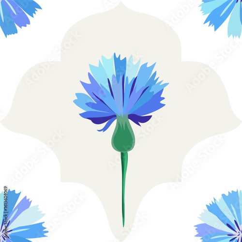 Seamless floral pattern with blue cornflowers in a stylized vintage shape over a white background