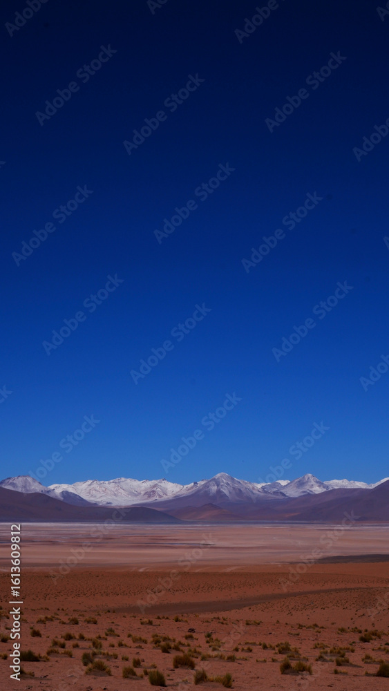 Naklejka premium Voyage bolivie printemps 2023