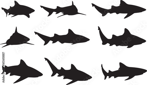 Zebra Shark Solid Vector Silhouette