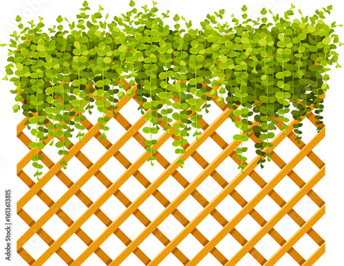 Creeper coin loosestrife, nummularia on wicker wooden wall. Isolated cartoon moneywort. Hanging branches of liana in style of provence. Vector object for computer games.