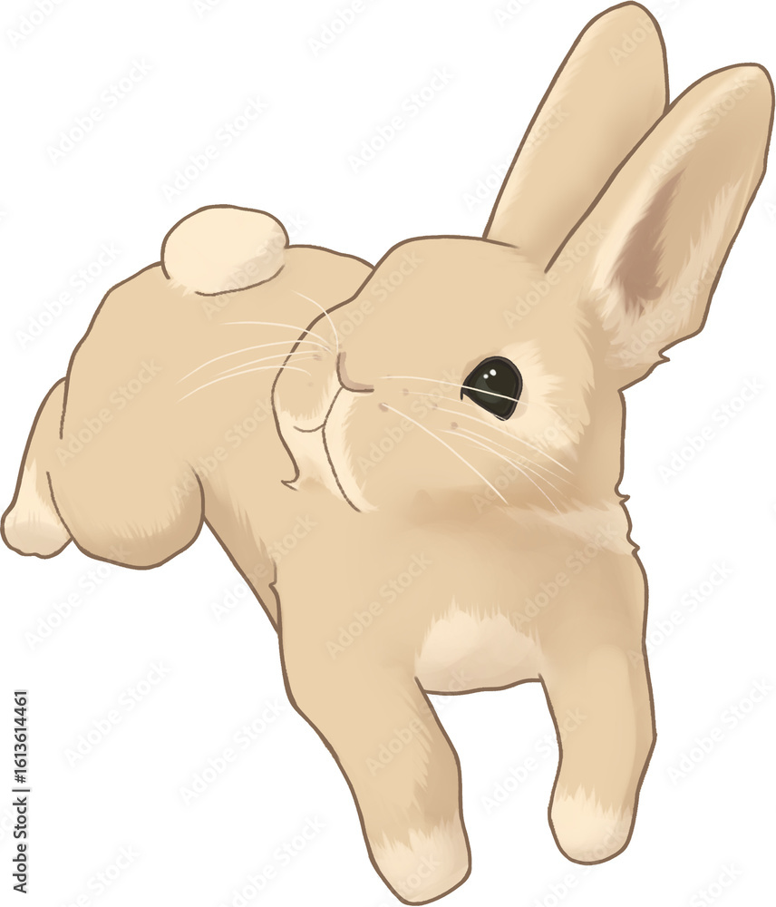 Naklejka premium 토끼