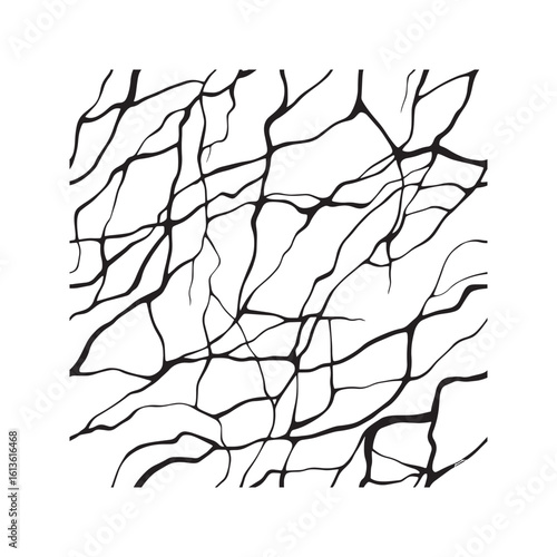 Abstract kintsugi-style cracked marble texture. Seamless black and white vein pattern background