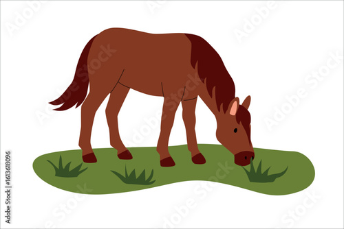 Flat illustration of a brown horse grazing on green grass. Minimal cartoon style with clean lines and soft colors, ideal for childrens books, farm themes, and educational materials. Vector