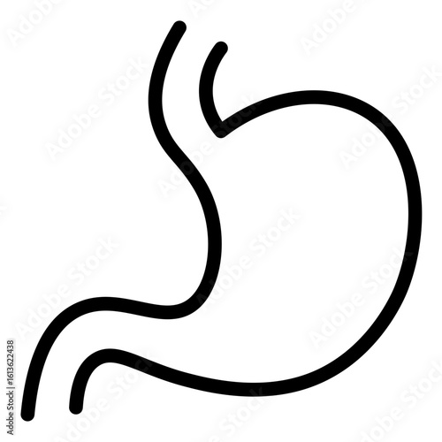 Human Stomach