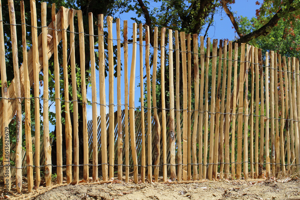 Fototapeta premium Clôture bois ganivelle noisetier, châtaigner, à planter, à dérouler, bordure pour plantation dans le jardin