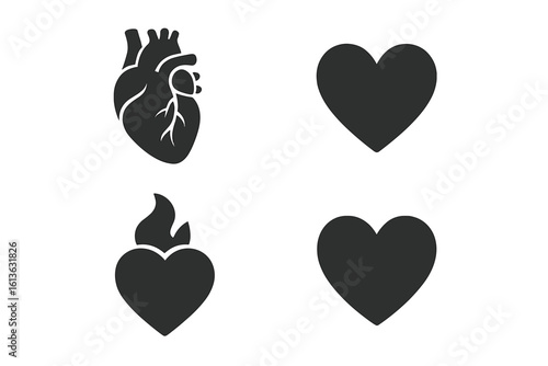 Heart icon set with anatomical and symbolic hearts. Vector collection of human organ for cardiology, stylized love symbol, sacred heart with flame for passion and romance.