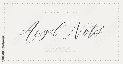 Signature Font Uppercase Lowercase And Number. Script Font Calligraphy Logotype  elegant Font Type Font lettering handwritten. vector illustration  
