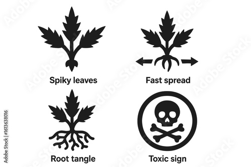 Harmful weed icon set. Vector glyphs of noxious plant characteristics. Spiky leaves, fast spread, invasive species, tangled roots, and a toxic poison warning sign.