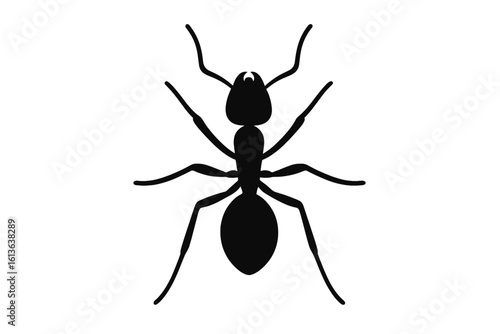 Top view worker ant silhouette, vector illustration. Simple insect icon for logo design. Black bug graphic symbol for pest control, nature, colony, or teamwork concept.