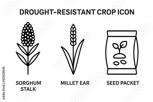 Drought-resistant crop line icon set. Sorghum stalk, millet ear, seed packet symbols. Vector illustration for sustainable agriculture, climate change, and cultivation.