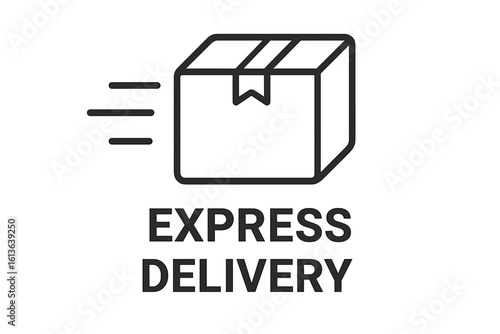 Express delivery icon for fast shipping and urgent courier services, rapid parcel transport, quick delivery app symbol, speedy logistics and express shipment vector illustration