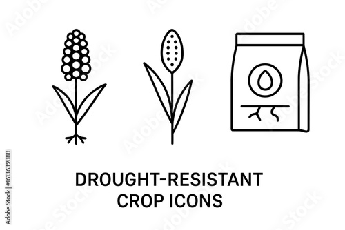 Drought-tolerant crop line icon set. Sorghum and millet plant with seed packet symbols. Vector concept for sustainable agriculture, farming and climate change adaptation.
