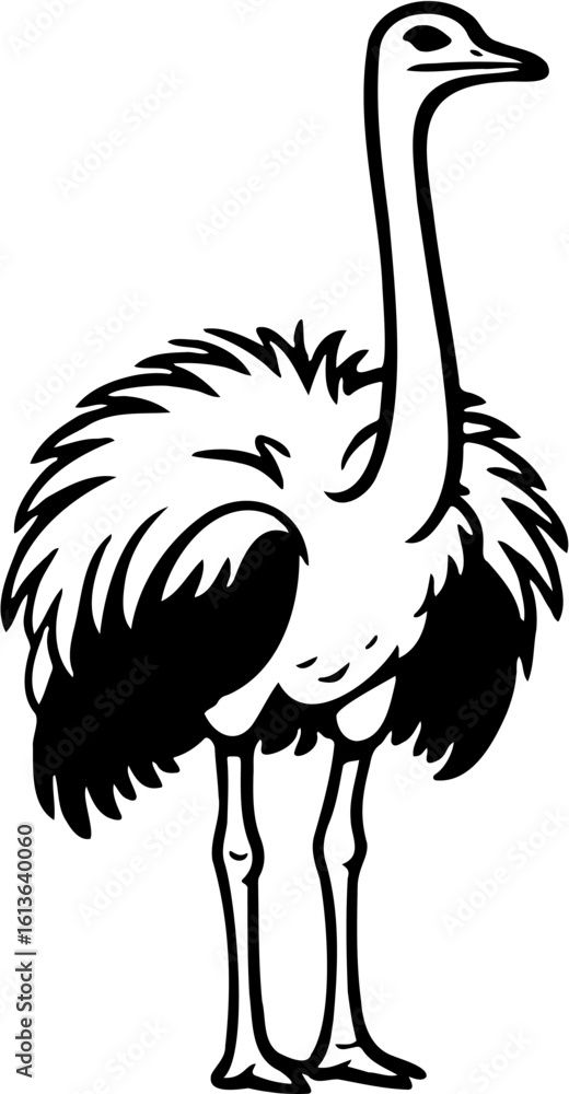 Naklejka premium ostrich vector illustration, isolated on white