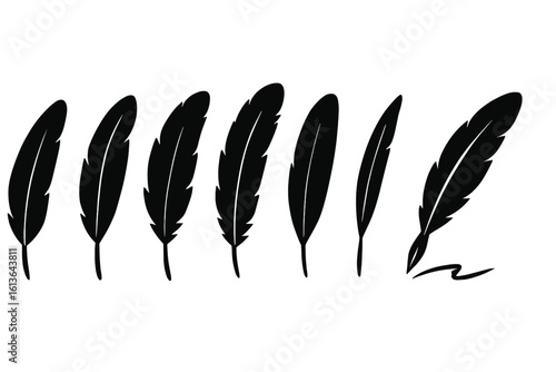 Black feather silhouette vector set. Different bird feathers icon collection. Vintage quill pen writing. Classic literature, poetry, and history symbol. Flat design element.