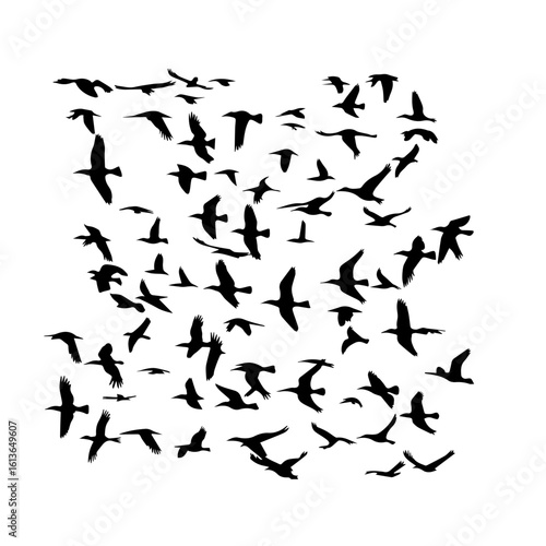 Wallpaper Mural  Flock of Flying Birds Silhouette

 Torontodigital.ca