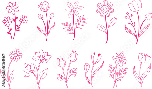 Floral branch and minimalist flowers for logo or tattoo. Hand drawn line wedding herb, elegant leaves