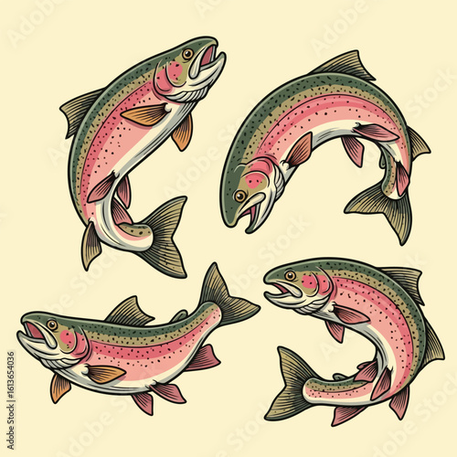 Rainbow trout swimming in various poses fish aquatic life