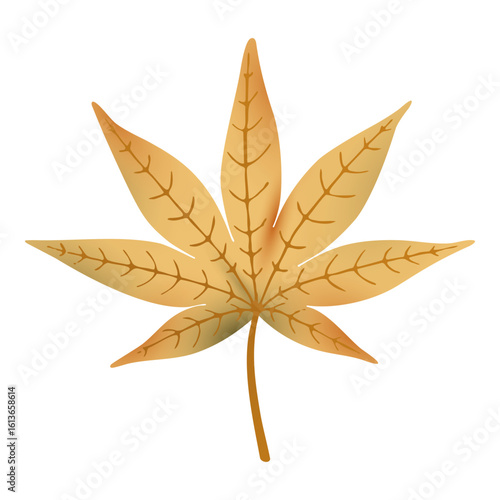 Autumn fall japanese maple leaf