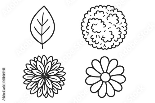 Botanical icon set of 4. Hand drawn leaf outline, top view shrub, and flower icons. Vector for landscaping plan, garden design, nature logo, eco brand, floral pattern.