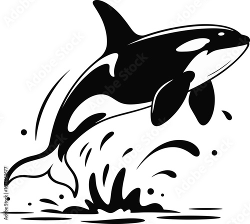 Orca Whale Splash Vector - Jumping Killer Whale Silhouette Illustration