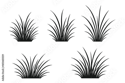 Black grass silhouettes set, isolated clumps, realistic lawn tufts, decorative meadow foliage, minimal vector illustration for landscaping design, gardening logo, natural elements pack on white