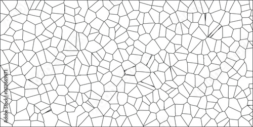 Abstract geometric cell structure pattern in black and white suitable for backgrounds or digital designs