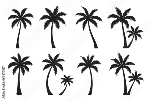 Tropical palm tree silhouettes in varied curved and straight trunks, island beach icons perfect for summer holiday, travel badge, exotic vacation decor, aloha paradise greenery vector set on white