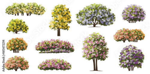 Vertor set of spring blossom tree,bloomimg plants side view for landscape elevation and section,eco environment concept design,watercolor illustration,colorful season