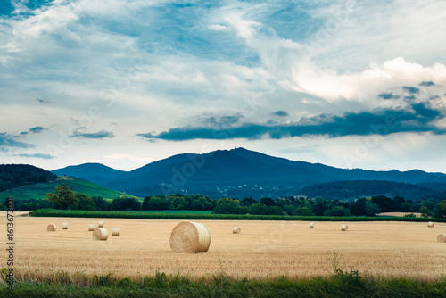 landscape with hay bales